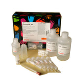 52973. AMINOLINK IMMOBILIZATION KIT, 5 COLUMNS - PIERCE