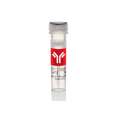 53243. F(AB') 2 PREPARATION KIT - PIERCE