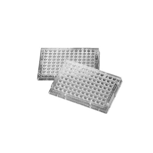 12849.PLACA 96 POZOS 400UL FONDO PLANO REVESTIMIENTO POLISORB TRANSPARENTE SIN TAPA NO ESTERIL NUNC PAQUETE C/5 PIEZAS - NUNC