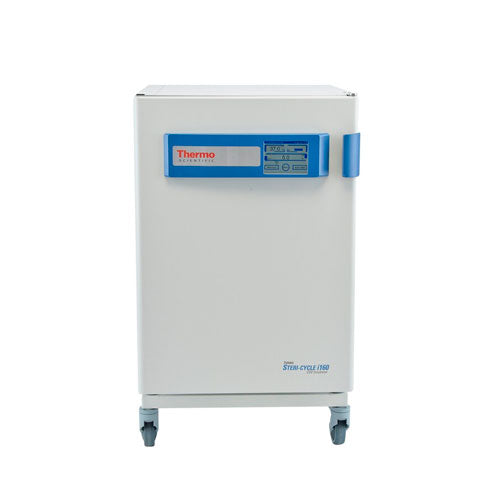 31275. INCUBADORA DE CO2 5.8FT3 (165LT) +3/55°C MOD. STERI-CYCLE 160I ACERO INOXIDABLE C/CIERRE DE PUERTA MEJORADO 120V 50/60HZ THERMO SCIENTIFIC