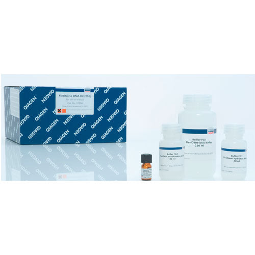 53865. KIT DE PURIFICACION DE ADN GENOMICO FLEXIGENE EN UN SOLO TUBO (250) QIAGEN
