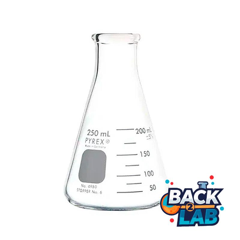 52452. MATRAZ ERLENMEYER DE VIDRIO 250ML BOCA ANGOSTA PAQUETE C/2 PIEZAS - PYREX
