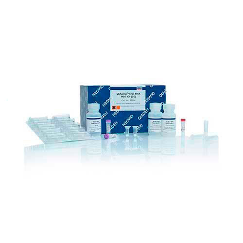 2577. KIT DE PURIFICACION DE ARN VIRAL QIAAMP VIRAL MINIKIT (250) QIAGEN