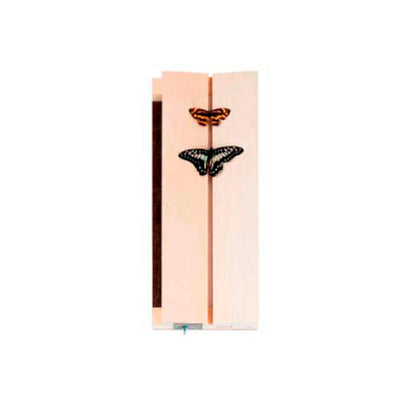 14688. TABLA DE EXPANSION P/MONTAJE DE INSECTOS 5-1/2 X 14''  - FORESTRY SUPPLIERS