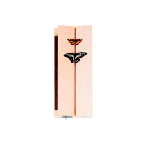 14688. TABLA DE EXPANSION P/MONTAJE DE INSECTOS 5-1/2 X 14''  - FORESTRY SUPPLIERS