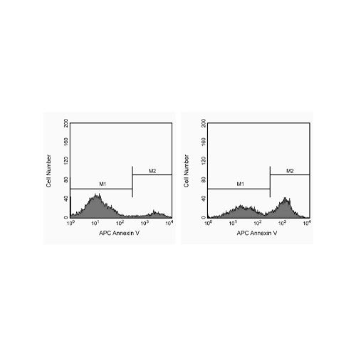 28326. ANNEXIN V RECOM APC C/200 PRUEBAS BD PHARMINGEN