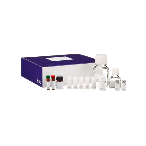 28384. MOUSE INFLAMMATION CBA KIT CAJA C/80 PRUEBAS BD-CBA – CTR Scientific