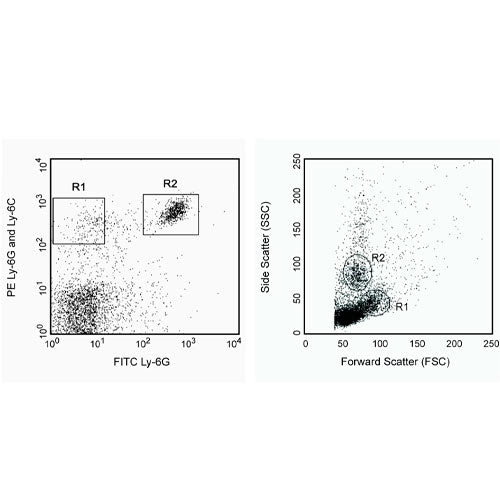 28370. PE RAT ANTI-MOUSE LY-6G AND LY-6C CLONE RB6-8C5 (RUO) 0.1MG BD PHARMINGEN