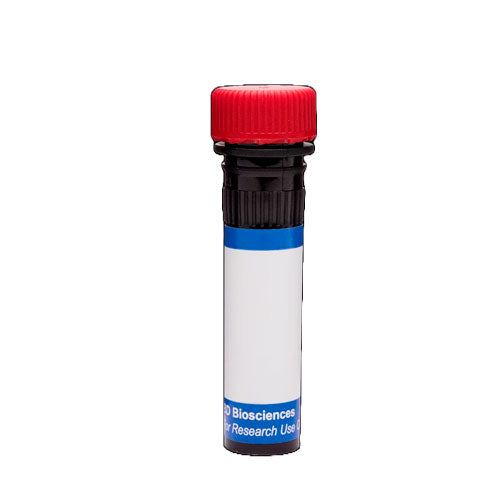 28983. PE MOUSE ANTI-RAT IL-10 CLONE A5-4 (RUO) 0.1MG BD PHARMINGEN