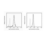28346. HUMAN CD31 FITC WM59 BD PHARMINGEN