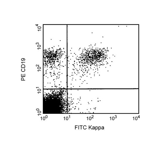 28342. FITC MOUSE ANTI-HUMAN IG K LIGHT CHAIN CLONE G20-193 (RUO) 100 TESTS BD PHARMINGEN