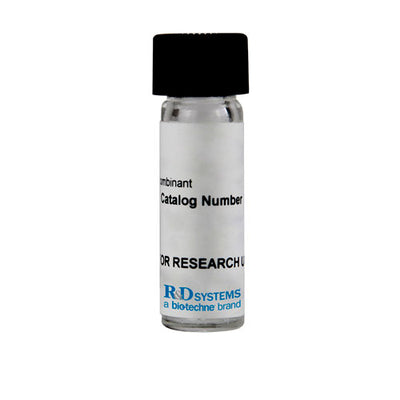51175. RECOMBINANT RAT CNTF PROTEIN CF 50UG - R&D SYSTEMS
