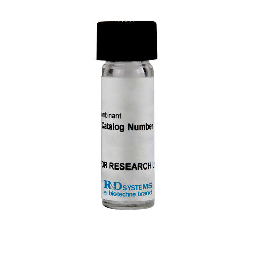 51175. RECOMBINANT RAT CNTF PROTEIN CF 50UG - R&D SYSTEMS