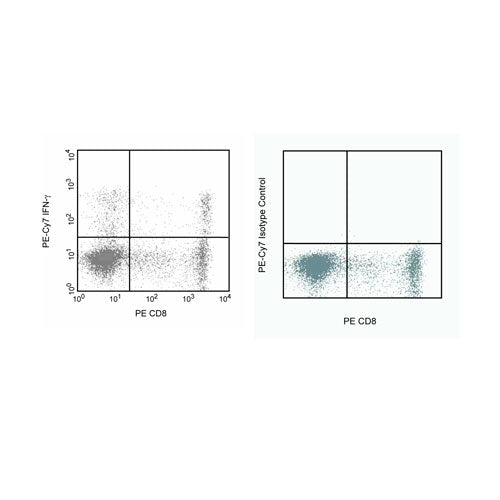 28373. PE-CY 7 MOUSE ANTI-HUMAN IFN-GMA CLONE B27 (RUO) 100 TESTS BD PHARMINGEN
