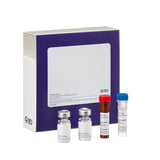 28250. CYTOMETRIC ARRAY (CBA) RAT TNF FLEX SET (RUO) 100 TESTS BD