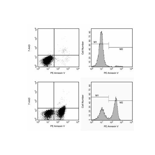 28325. ANNEXIN V PE APOP DTEC KIT 100 TESTS PHARMINGEN