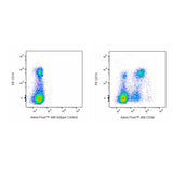 28316. 7-AAD (RUO) STAINING SOLUTION 2ML BD PHARMINGEN