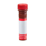 29754. ALEXA FLUOR 647 MOUSE ANTI-E-CADHERIN CLONE 36/E-CADHERIN (RUO) 100 TESTS BD PHARMINGEN
