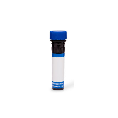 28310. PE-CY7 RAT ANTI-MOUSE LY-6G CLONE 1A8 (RUO) 50UG BD PHARMINGEN