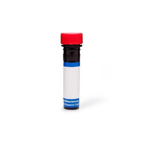 22388. PE MOUSE ANTI-BCL-6 CLONE K112-91(RUO) 50 TESTS BD PHARMINGEN
