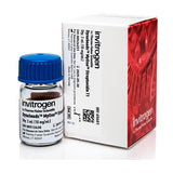 31010. ESTREPTAVIDIN T1 DYNABEADS MYONE 2ML INVITROGEN