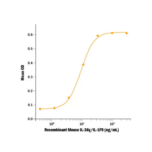 30036. RECOMBINANT MOUSE IL-36 GAMMA/IL-1F9 (AA 13-164) PROTEIN, CF, 10UG, R&D SYSTEMS