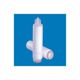55783. FILTRO MICROBIOLOGICO, MEMBRANA DE POLIETERSULFONA 0.45UM, JUNTA TORICA Y VASTAGO 226 LIFEASSURE, BNA045F03BA 3M