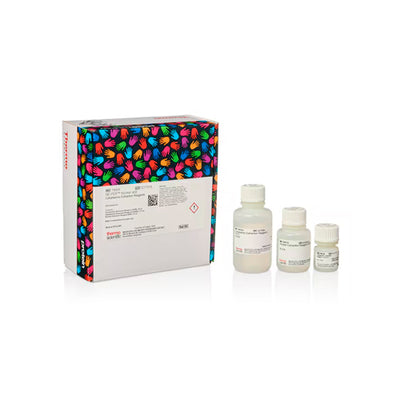 53320. REACTIVOS DE EXTRACCION CITOPLASMICA Y NUCLEAR NE-PER 75ML - PIERCE