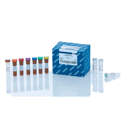 51190. KIT PIK3CA RGQ PCR 24 REACCIONES - QIAGEN