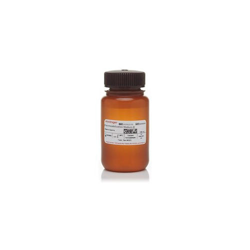 50452. INTRACELLULAR FIXATION/PERMEABILIZATION BUFFER (PLUS BREFELDIN A) KIT EBIOSCIENCE