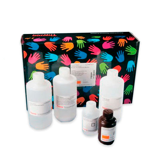 10480. NUCLEIC ACID DETECTION BLOCKING BUFFER 500ML - PIERCE