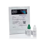 27369. KIT DE MICROESFERAS DE COMPENSACION DE ANTICUERPO TOTAL ABC 100 PRUEBAS INVITROGEN