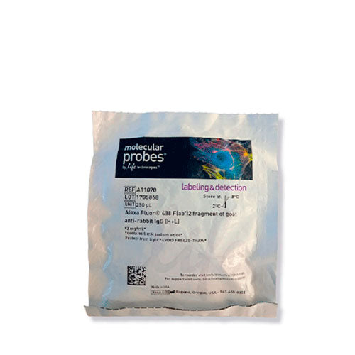 23547. F(AB') 2-GOAT ANTI-RABBIT IGG (H+L) CROSS-ADSORBED SECONDARY ANTIBODY, ALEXA FLUOR 488 500UG INVITROGEN