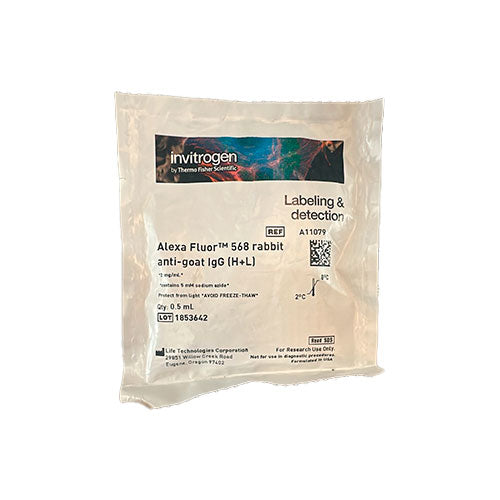 51910. RABBIT ANTI-GOAT IGG (H+L) CROSS-ADSORBED SECONDARY ANTIBODY, ALEXA FLUOR 568, 500UL, - INVITROGEN