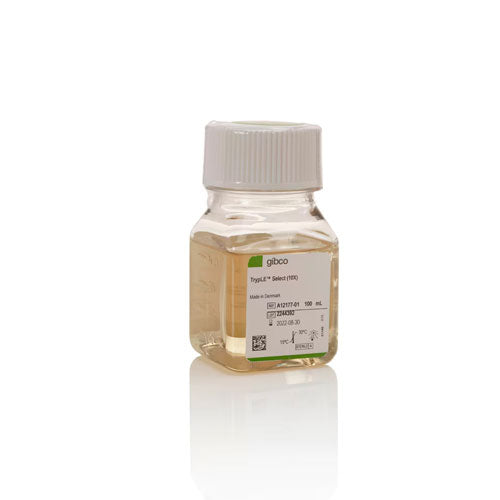 53724. TRYPLE SELECT ENZYME (10X) SIN ROJO FENOL 500ML - GIBCO