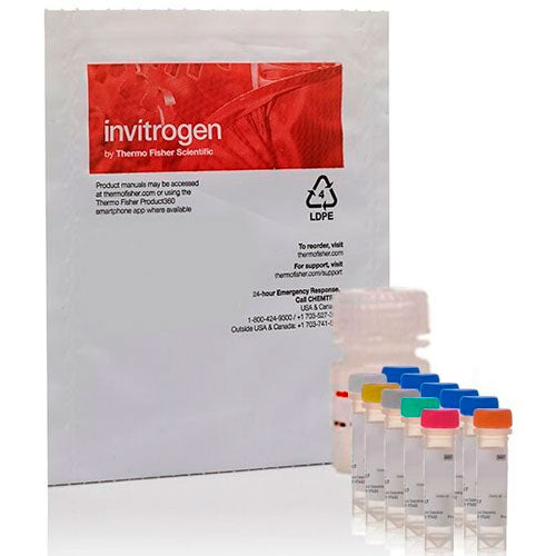 28653. KIT DE ENSAYO DE ACETILCOLINA/ACETILCOLINESTERASA 500 ENSAYOS INVITROGEN