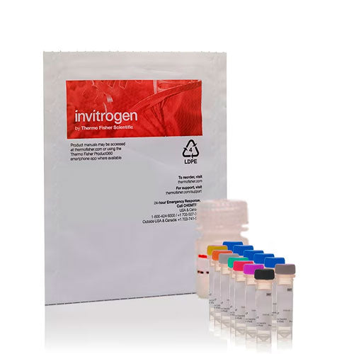 29294. AMPLEX RED SPHINGOMYELINASE ASSAY KIT 500 ASSAYS INVITROGEN