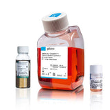 53671. MEDIO DE ASTROCITOS SIN EDTA, SIN ROJO FENOL GIBCO