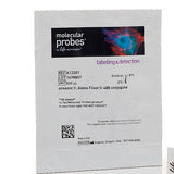 52849.  ANNEXIN V, ALEXA FLUOR 488 CONJUGATE 500UL MOLECULAR PROBES