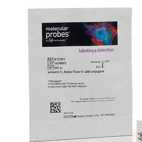52849.  ANNEXIN V, ALEXA FLUOR 488 CONJUGATE 500UL MOLECULAR PROBES