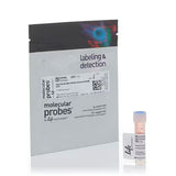 29112. ESTER NHS ALEXA FLUOR 488 (SUCCINIMIDILO ESTER) 1MG INVITROGEN