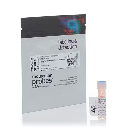 29112. ESTER NHS ALEXA FLUOR 488 (SUCCINIMIDILO ESTER) 1MG INVITROGEN
