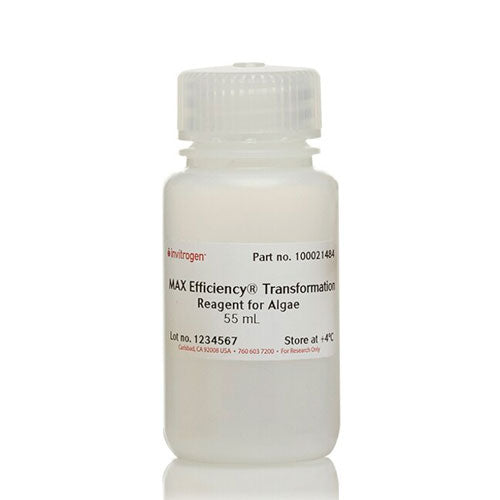 31120. MAX EFFICENCY TRANSFORMATION REAGENT FOR ALGAE 40 REACTIONS INVITROGEN