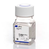 53667. POLI-D-LISINA 0.1MG/ML 100ML GIBCO