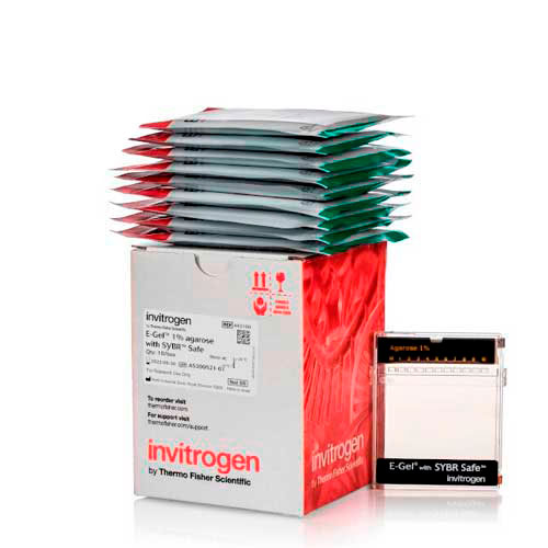 50474. GEL DE AGAROSA 1% E-GEL SYBR 100PB-5KB C/10 - THERMO SCIENTIFIC