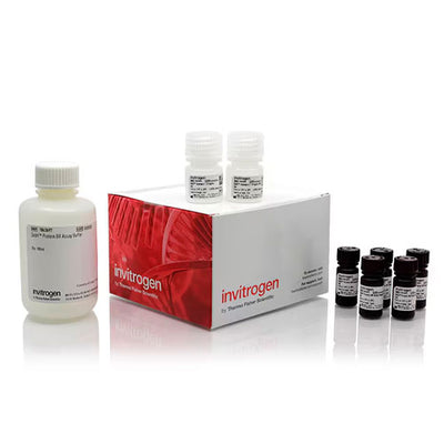 31114. KIT DE ENSAYO DE AMPLIO RANGO (BR) DE PROTEINAS Y PROTEINAS DE QUBIT 500 ENSAYOS INVITROGEN
