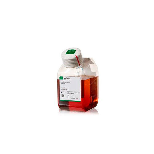 51181. SUERO FETAL BOVINO (FBS) CONCENTRACION DE HEMOGLOBINA ≤25 MG/DL  CONCENTRACION DE ENDOTOXINAS ≤10 EU/ML PREMIUM 500ML  PARA CULTIVO CELULAR - GIBCO