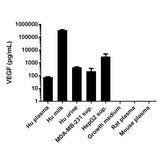 56847. HUMAN VEGF ELISA KIT 96 TESTS ABCAM