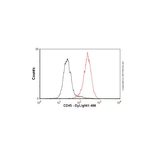 29423. ANTI-CD45 ANTIBODY 100UG ABCAM