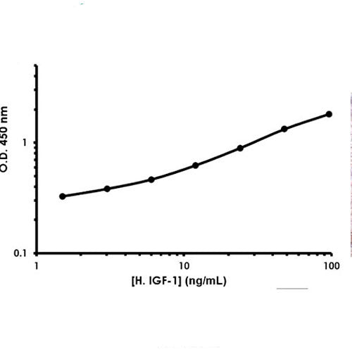 56855. HUMAN INSULIN LIKE GROWTH FACTOR 1 ELISA KIT (IGF1) 96 TESTS ABCAM